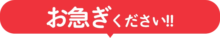 お急ぎください!!