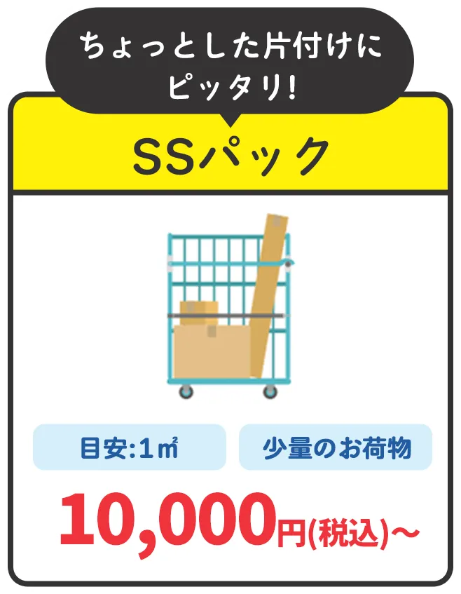 ちょっとした片付けにピッタリ!SSパック